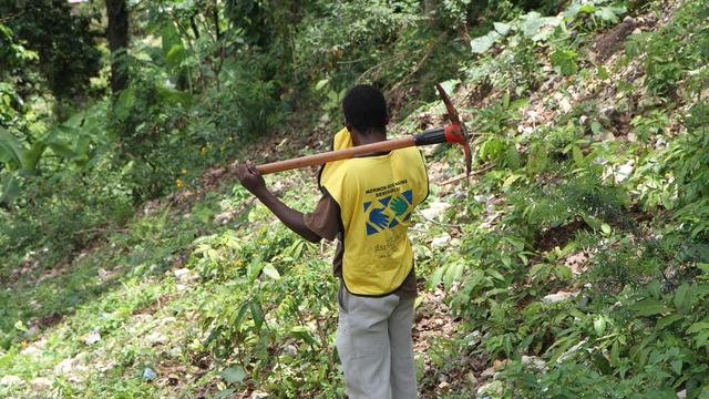 Haiti Worker Surveys