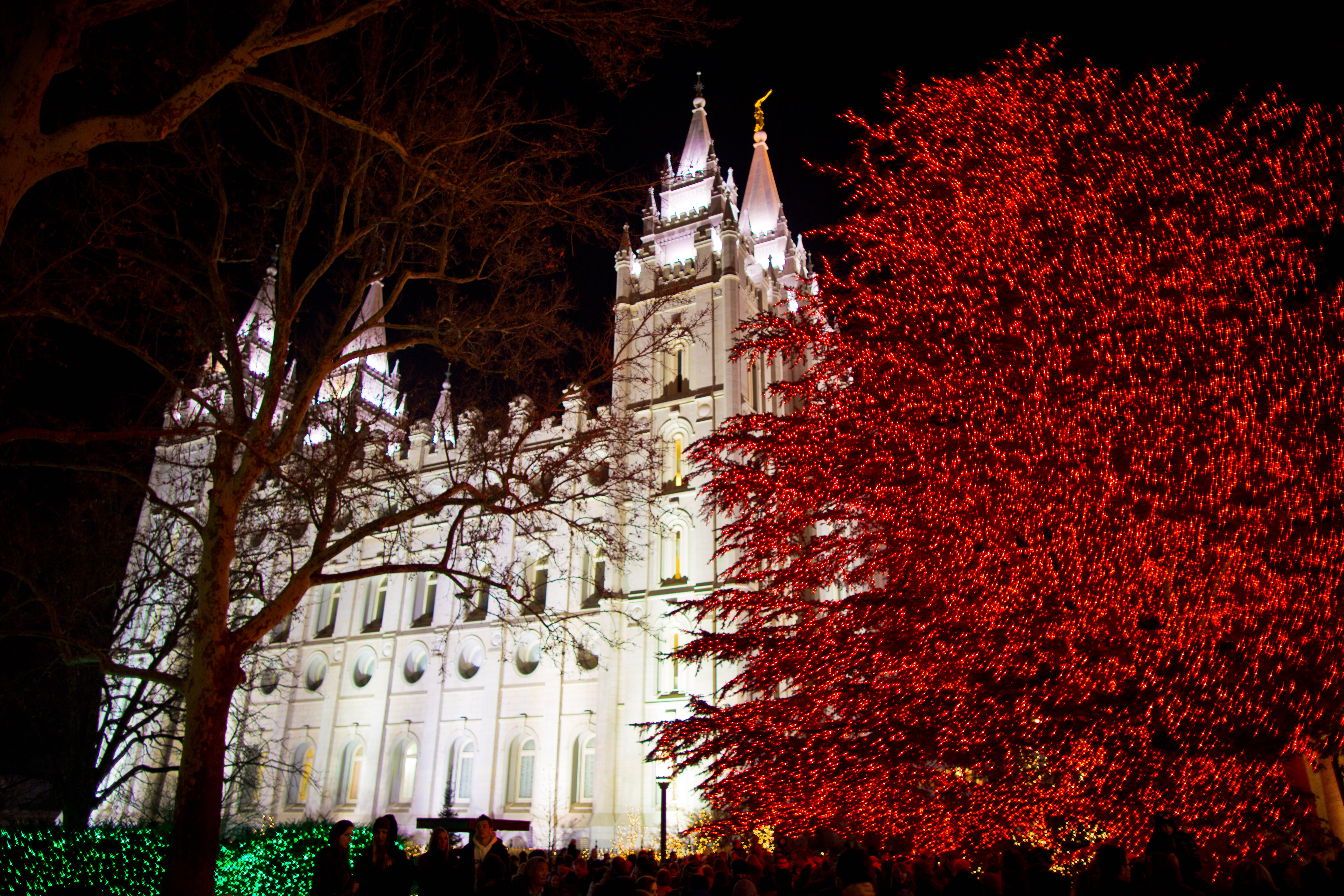 Christmas Temple Square 2013 Cedar Lebanon2