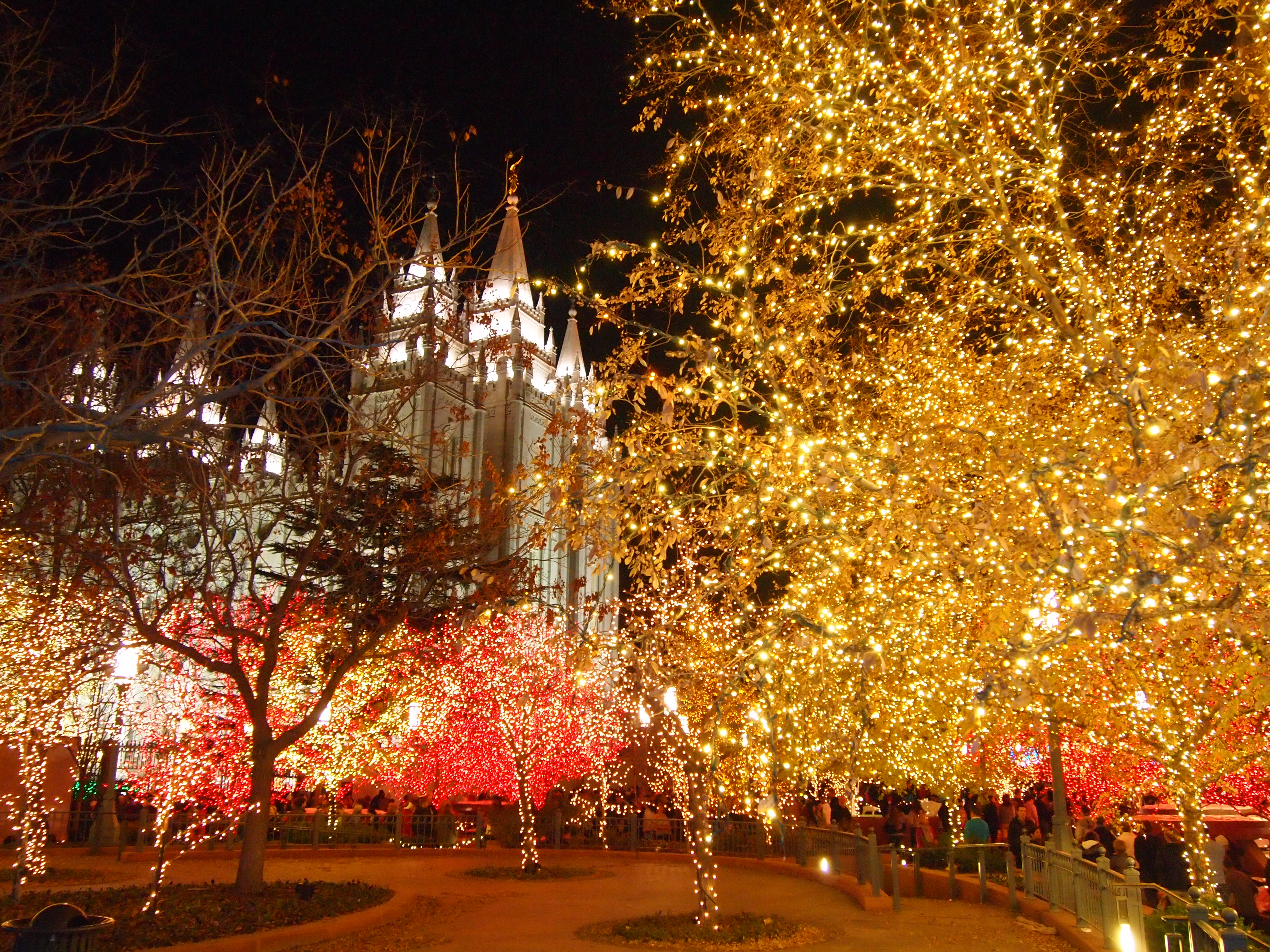 Temple Square lights11 2014