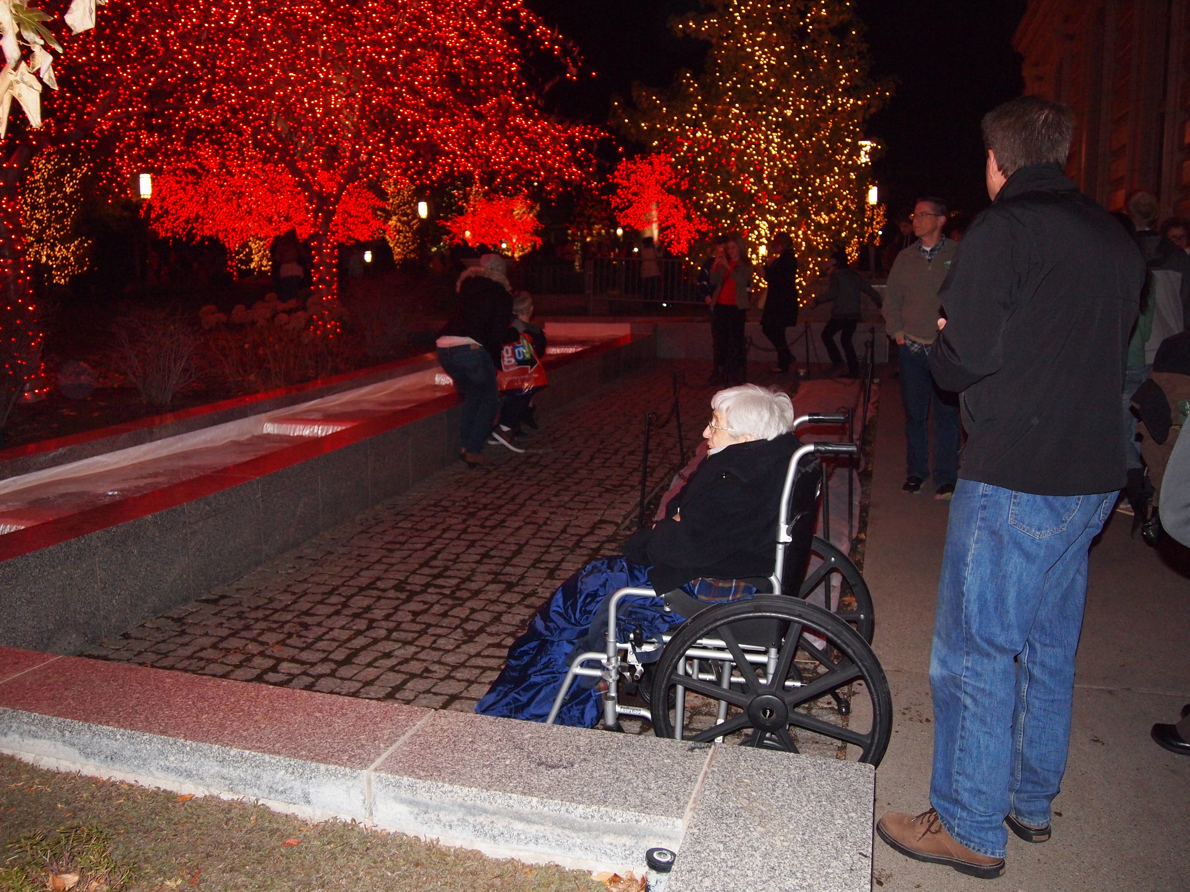 Temple Square lights13 2014