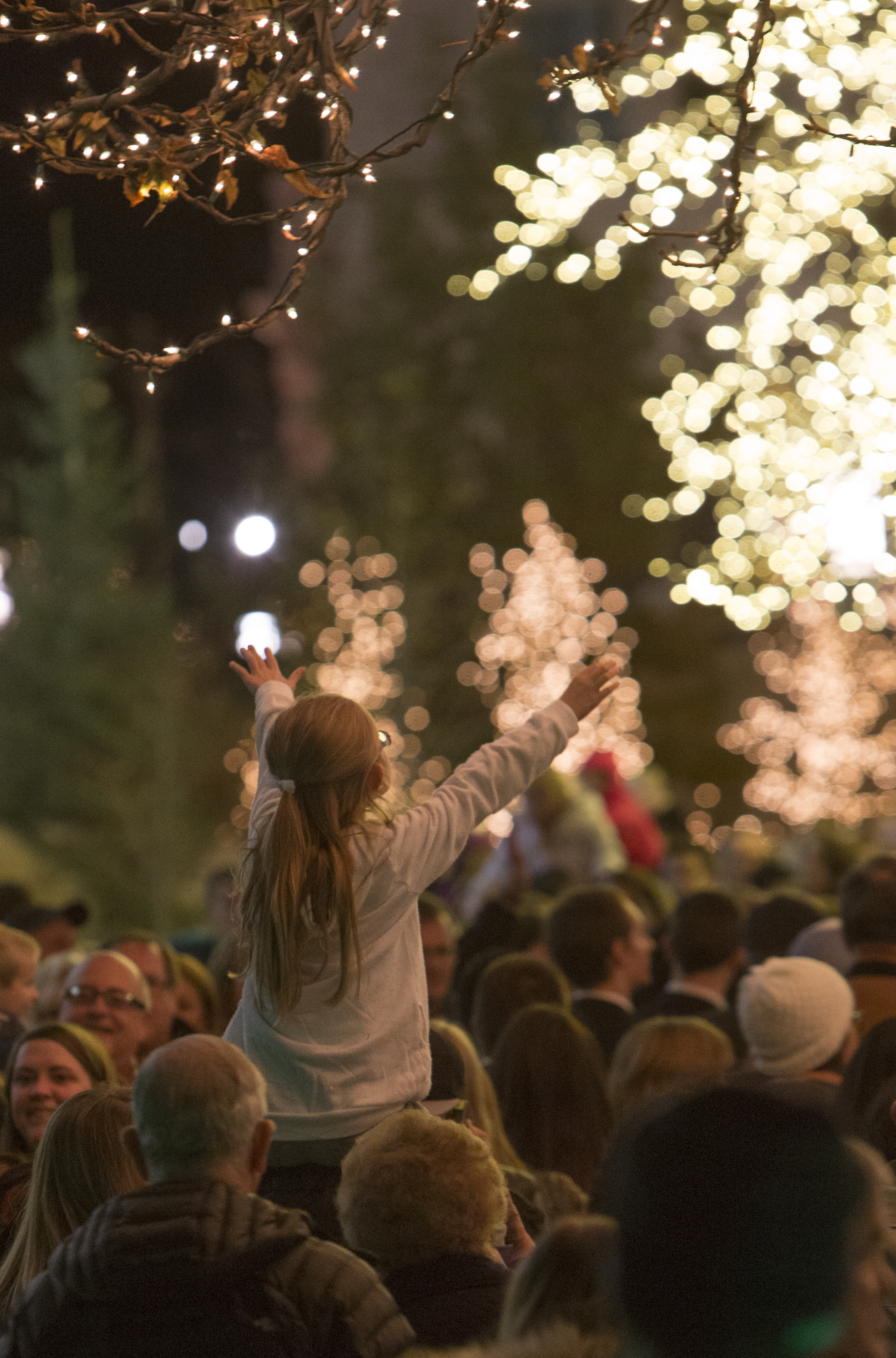 Temple Square lights4 2014